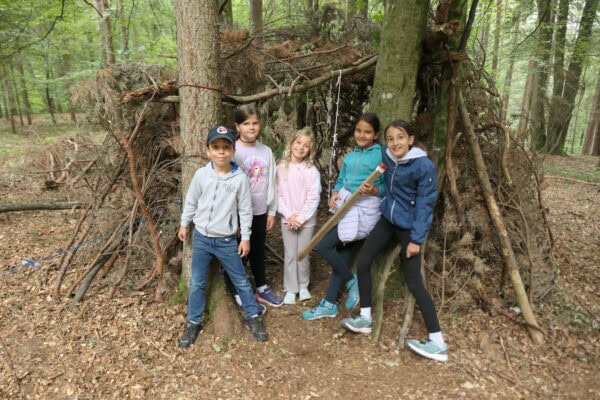 Wald II 14 600x400 - Waldtage 2/2026