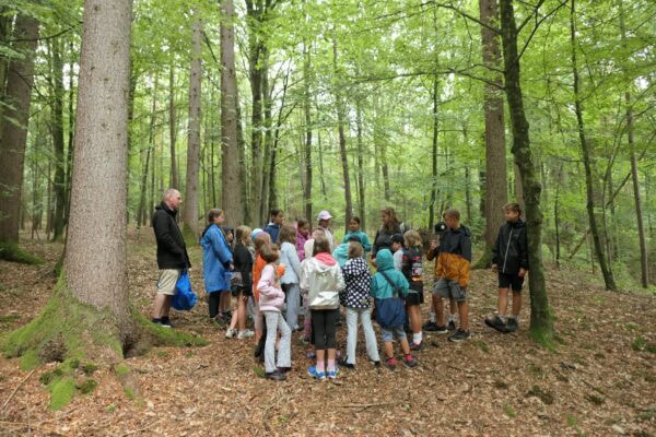 Wald II 23 600x400 - Waldtage 2/2026