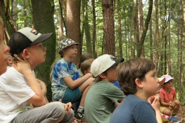 Wald1 2024 38 600x400 - Waldtage 1/2024