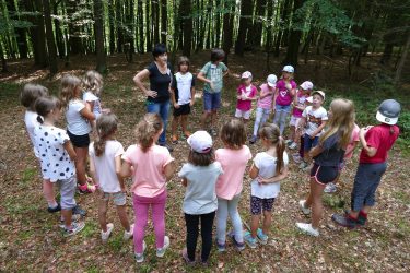 ferien 2018 waldtage2 01 375x250 - Waldtage 2 2018