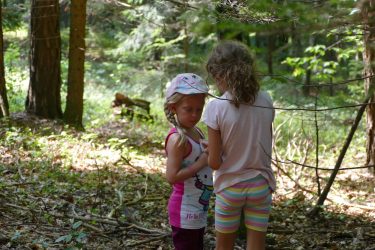 ferien 2018 waldtage2 02 375x250 - Waldtage 2 2018