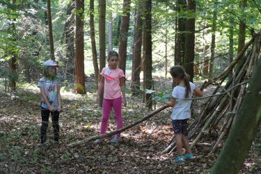 ferien 2018 waldtage2 03 375x250 - Waldtage 2 2018