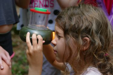 ferien 2018 waldtage2 07 375x250 - Waldtage 2 2018