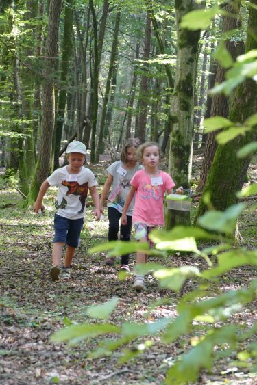 ferien 2018 waldtage2 10 375x563 - Waldtage 2 2018