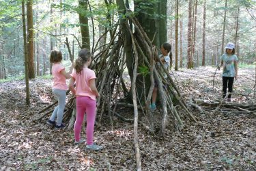 ferien 2018 waldtage2 13 375x250 - Waldtage 2 2018