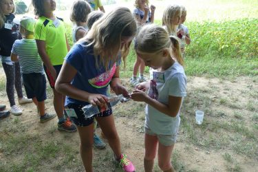 ferien 2018 waldtage2 15 375x250 - Waldtage 2 2018