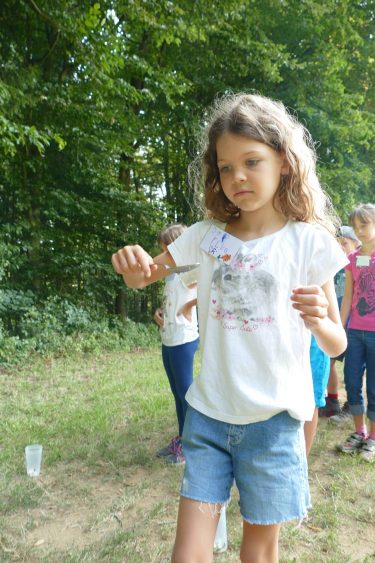 ferien 2018 waldtage2 16 375x563 - Waldtage 2 2018