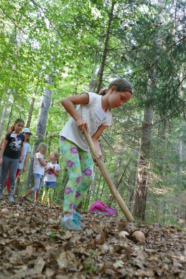 ferien 2018 waldtage2 18 375x563 - Waldtage 2 2018