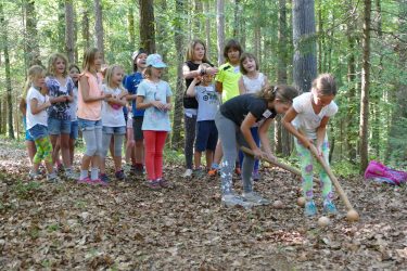 ferien 2018 waldtage2 20 375x250 - Waldtage 2 2018