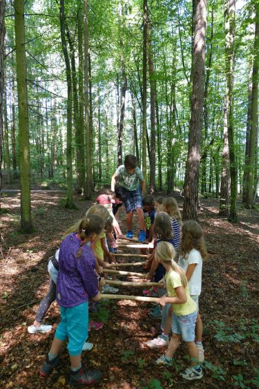 ferien 2018 waldtage2 26 375x563 - Waldtage 2 2018