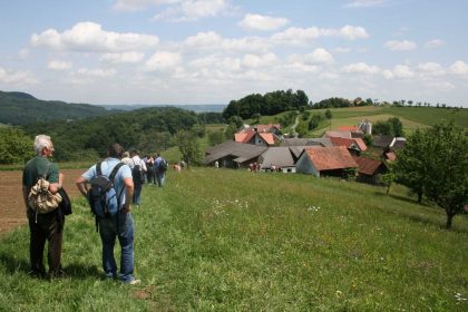 Geführte Wanderung veranstaltungen 2019 dexenbergrunde 420x280 - Geführte Wanderung