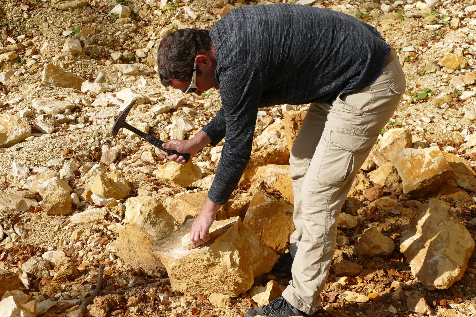 Fossilien suchen und präparieren veranstaltungen 2019 fossilien1 - Fossilien suchen und präparieren