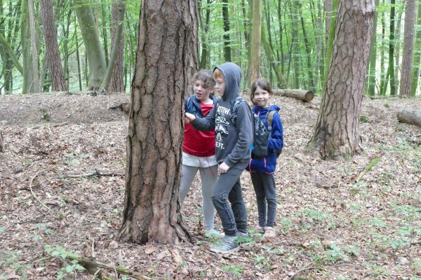 wald1 2020 16 600x400 - Waldtage I 2020