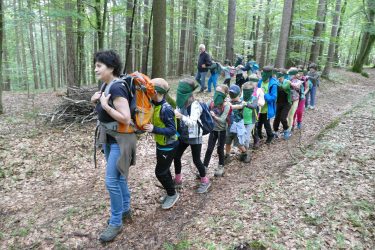 wald1 2020 24 375x250 - Waldtage I 2020