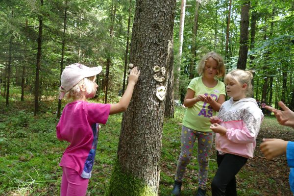 wald1 2020 5 600x400 - Waldtage I 2020