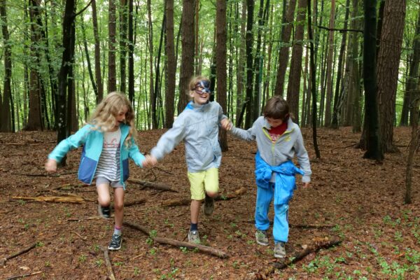 wald1 2022 20 600x400 - Waldtage 1/2022