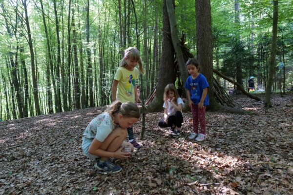 wald2023 1 04 600x400 - Waldtage 1/2023