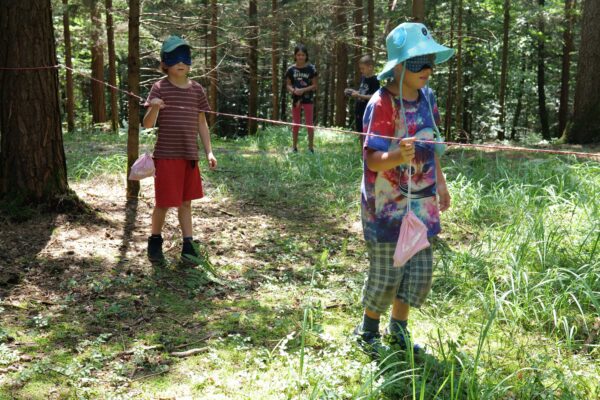 wald2023 1 31 600x400 - Waldtage 1/2023