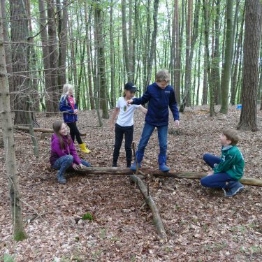 Sommerhits für Kids 2022 wald2 2021 22 375x375 - Sommerhits für Kids 2022
