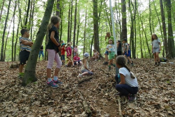 wald 1  39 600x400 - Waldtage 1/2021