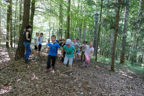 waldtage1 2018 19 555x370 - Waldtag 1 2018