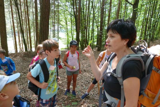 waldtage1 2018 3 555x370 - Waldtag 1 2018