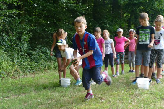 waldtage1 2018 30 555x370 - Waldtag 1 2018