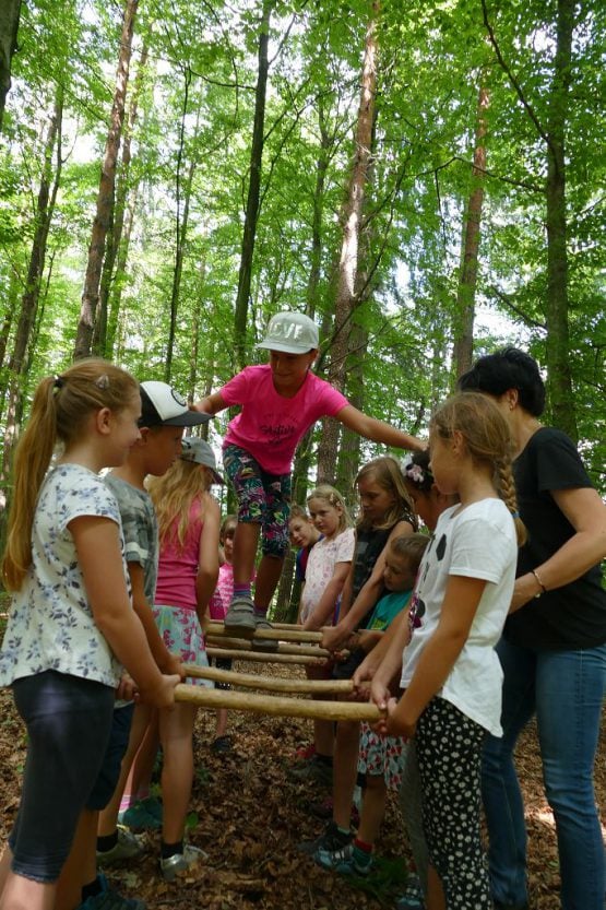 waldtage1 2018 37 555x833 - Waldtag 1 2018