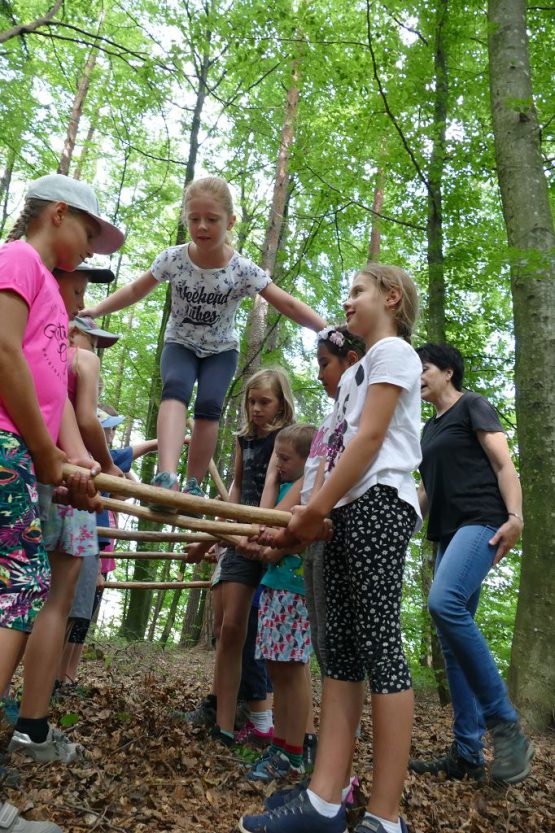 waldtage1 2018 38 555x833 - Waldtag 1 2018