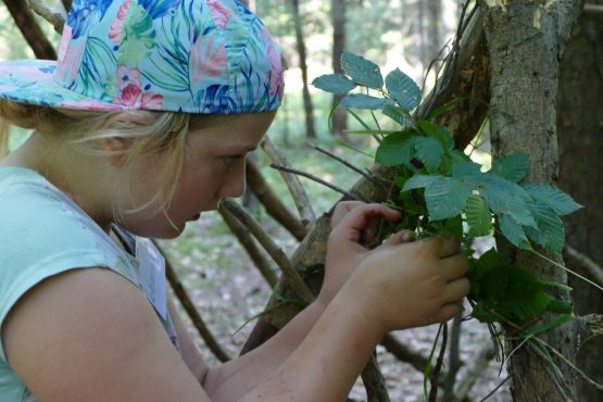 waldtage1 2018 4 555x370 - Waldtag 1 2018