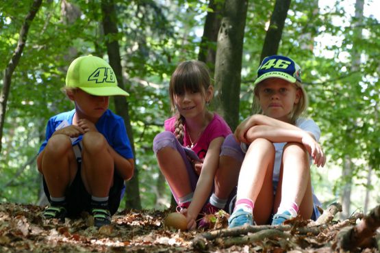 waldtage1 2018 5 555x370 - Waldtag 1 2018