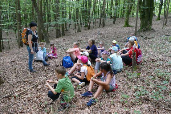 waldtage1 2018 6 555x370 - Waldtag 1 2018