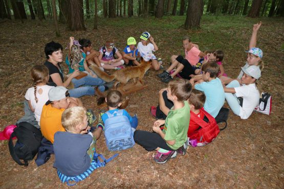 waldtage1 2018 8 555x370 - Waldtag 1 2018